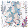 Cecelia, Pink Harmony - Roller Blind